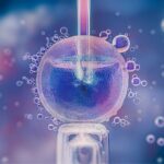 Fertilização in vitro