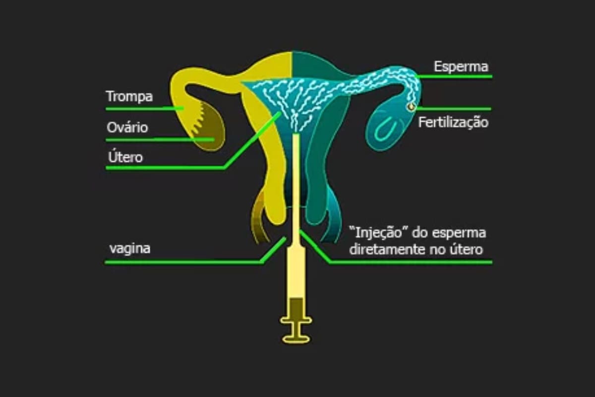 Especialidades Reprodução Humana